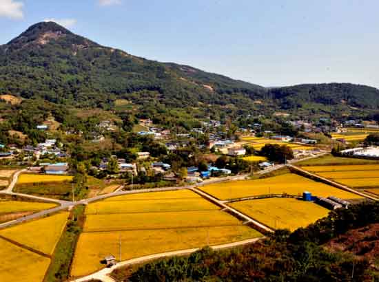 구미마을 전경