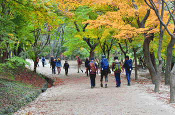 웰빙(맨발)산책로