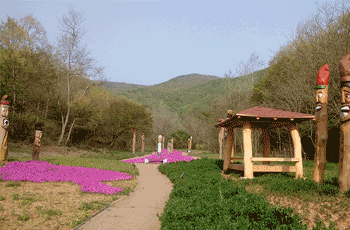추령장승촌 야생화단지