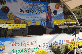 추령장승축제