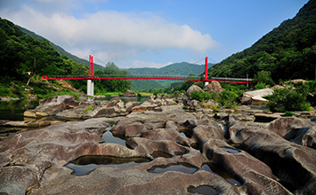 장군목