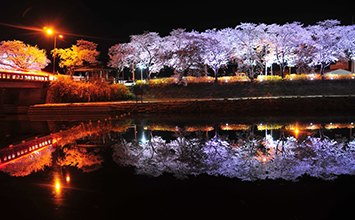 경천야경