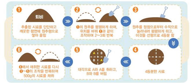 1. 추출된 시료를 단단하고 깨끗한 평면에 원추형으로 쌓아올림/ 2. 1의 원추를 평평하게 하여, 위치를 바꿔 1과 같이 조작하여 2~3회 반복 / 3. 원추를 정점으로부터 수직으로 눌러내려 평평하게 하고, 이것을 선형으로 4등분 함 / 4. 4등분한 사료 / 5. 대각으로 A와 A를 취하고, B와 B를 버림 / 6. 5에서 채취한 시료를 다시 1~5의 조작을 반복하여 500g의 시료를 채취