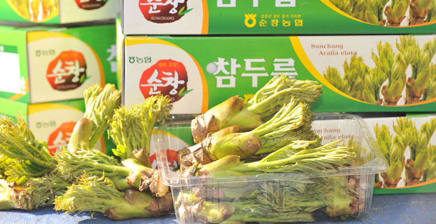 두릅