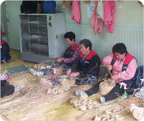 稻草海草养殖容器