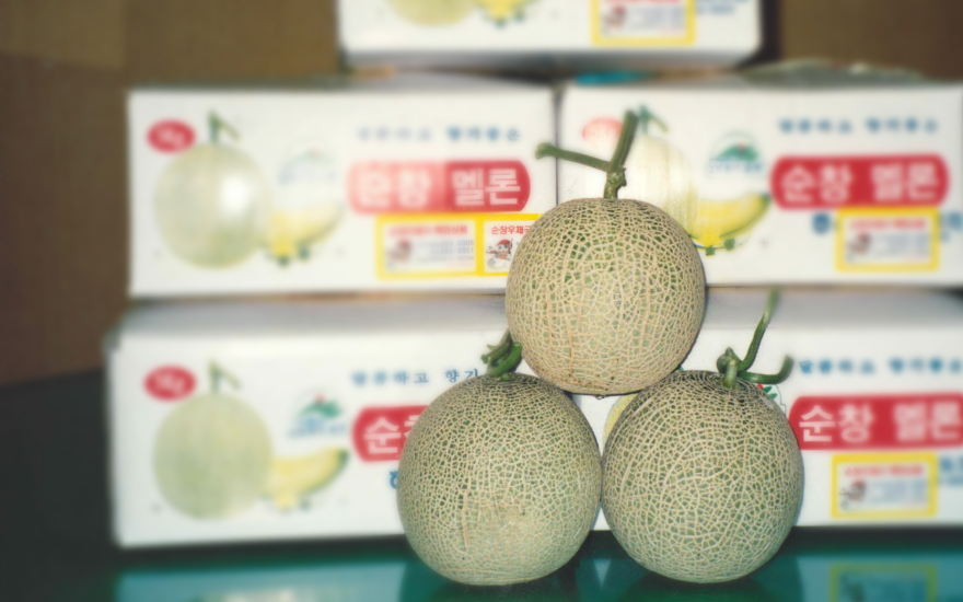 哈密瓜