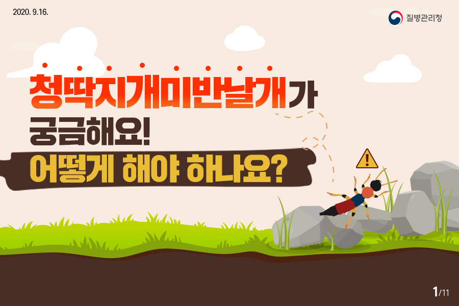 화상벌레카드뉴스표지