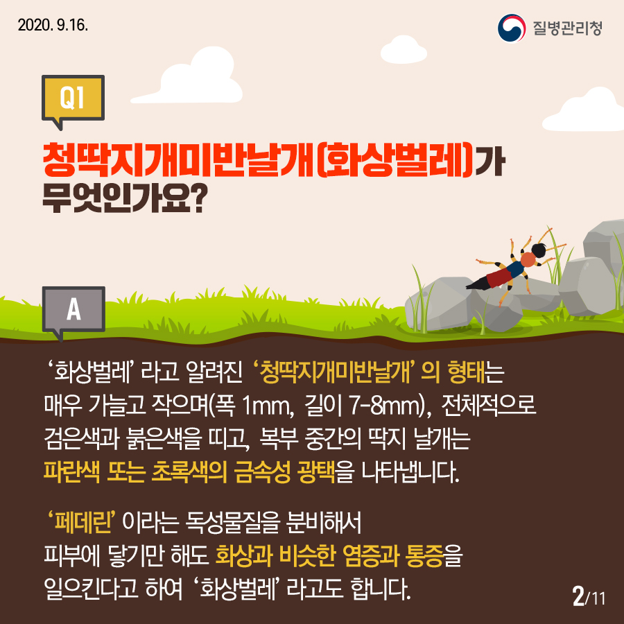 화상벌레카드뉴스내지2