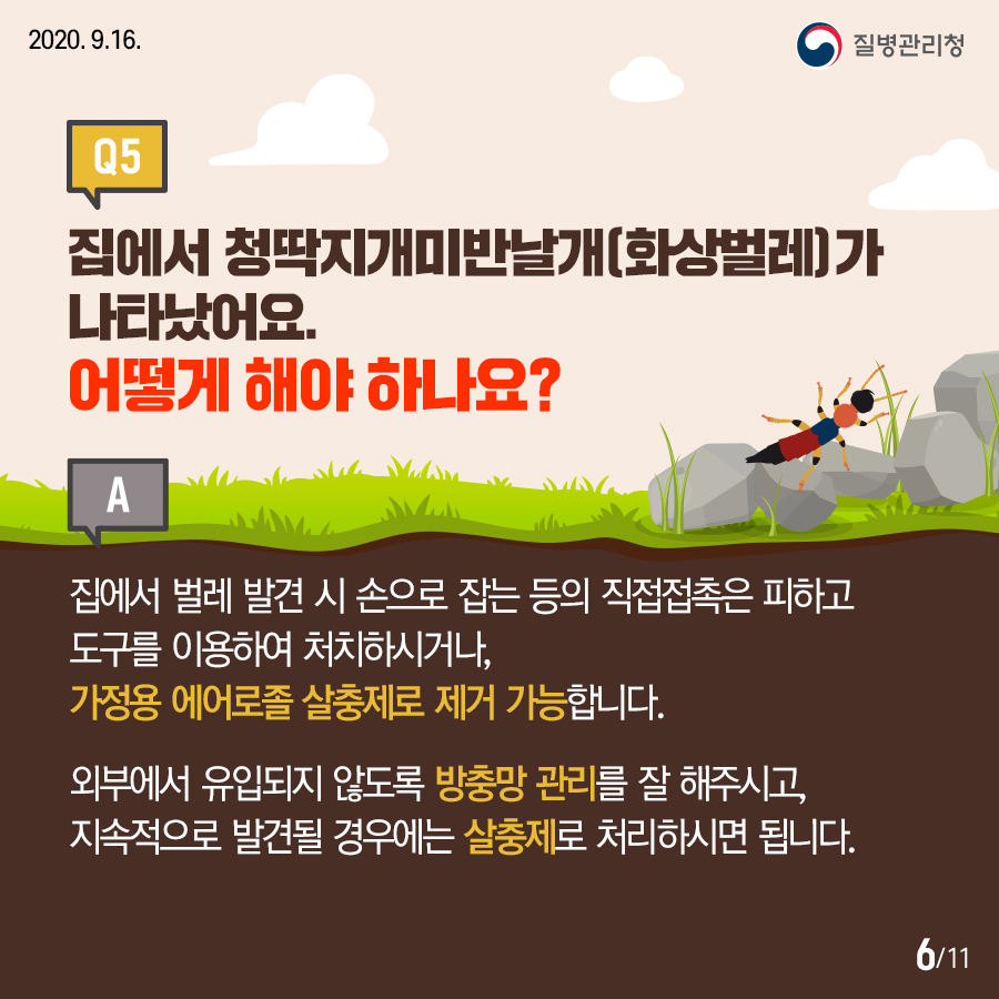 화상벌레카드뉴스내지6