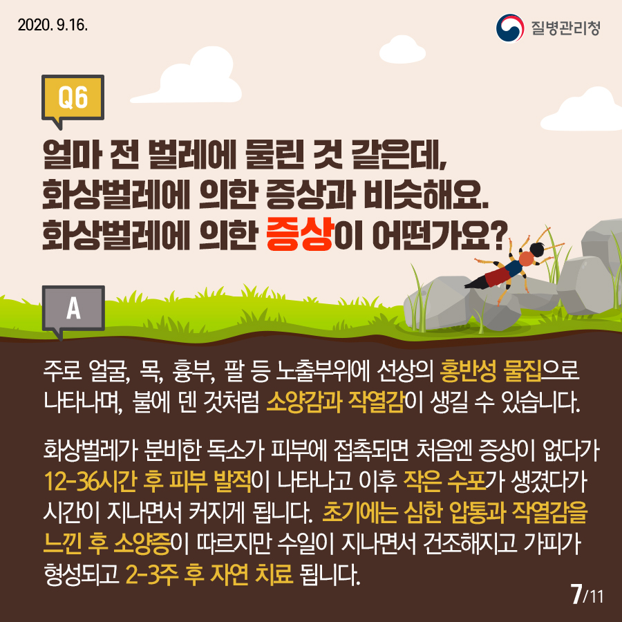 화상벌레카드뉴스내지7