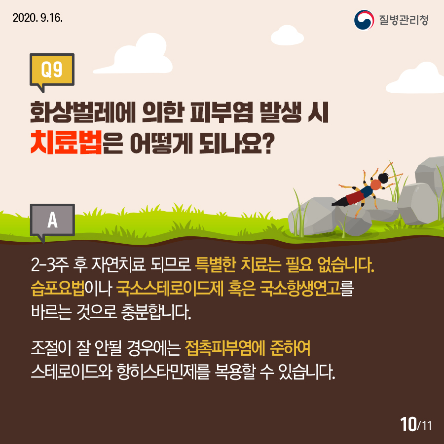 화상벌레카드뉴스내지10