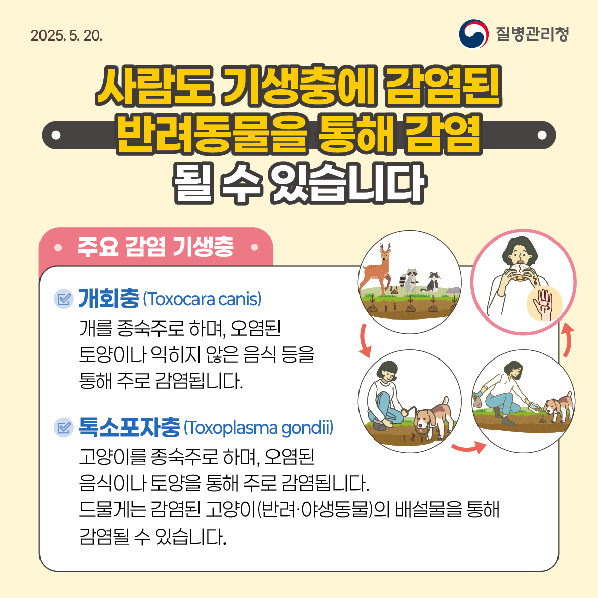 기생충감염병-카드뉴스3