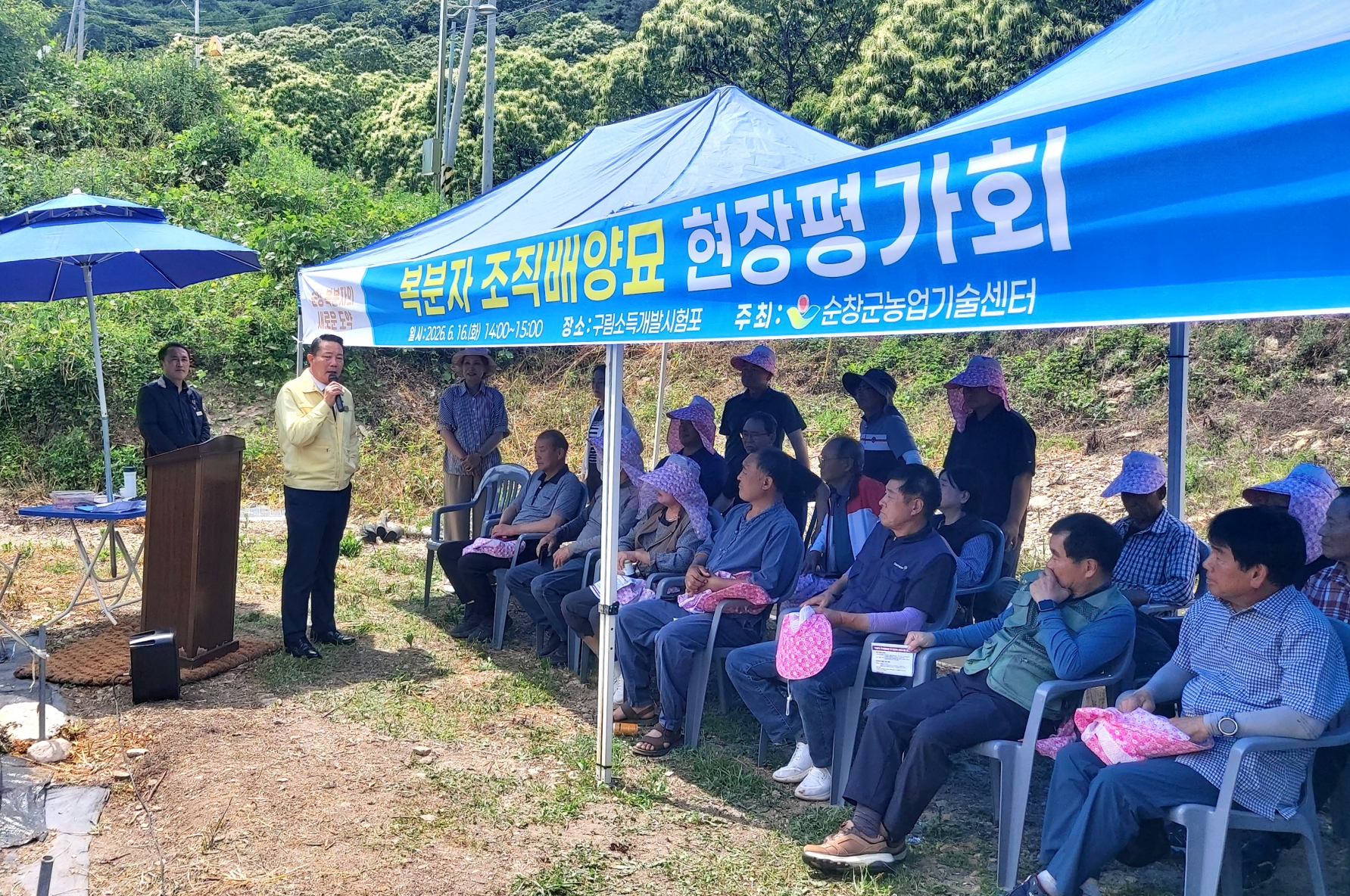 순창군, 복분자 고사율 73% 낮춘 조직배양묘 우수성 입증 - 행정 | 코리아NEWS