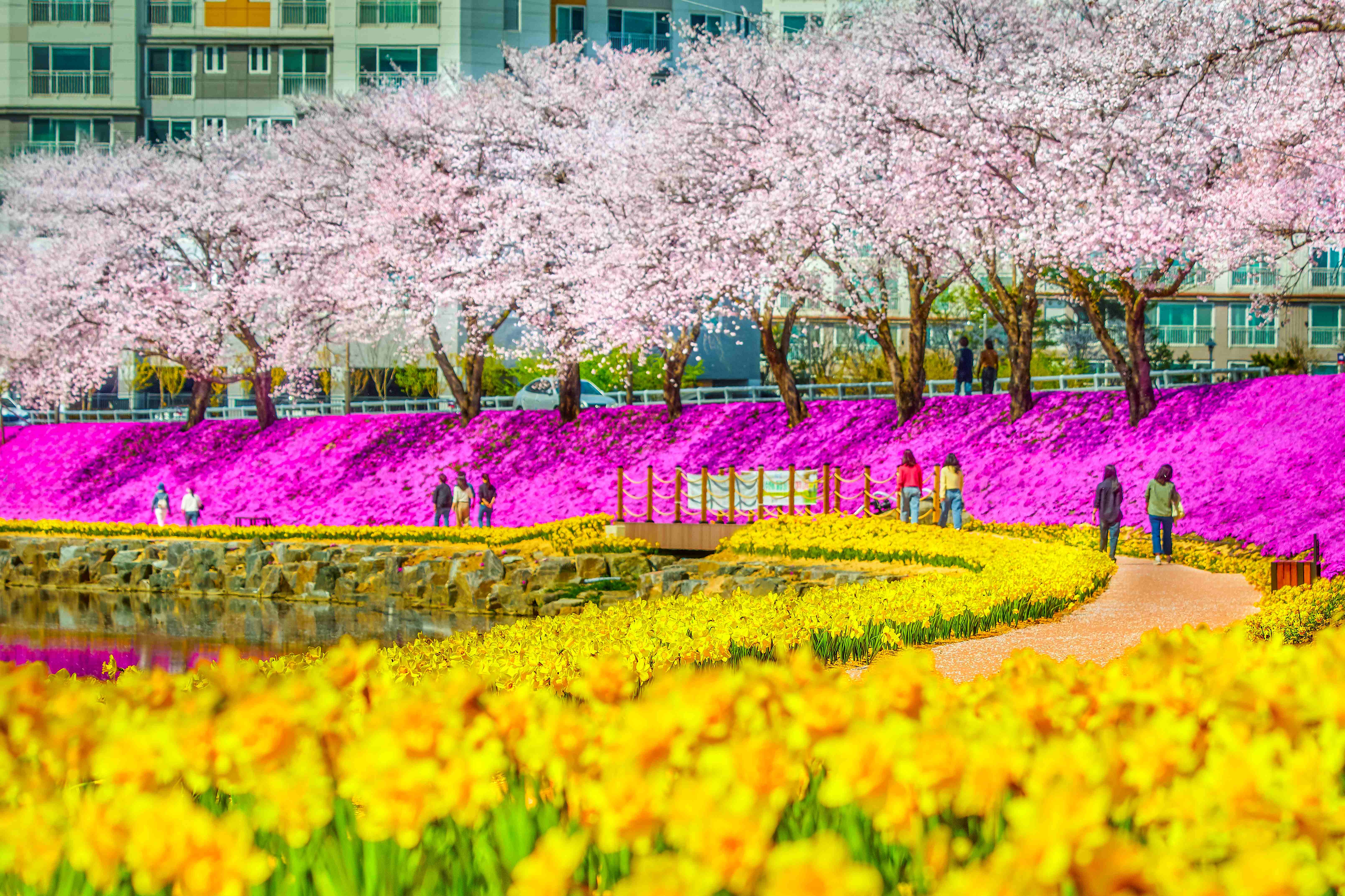 순창군, 전국 공약이행평가 '3년 연속 최우수'…역대 최고성과 - 행정 | 코리아NEWS