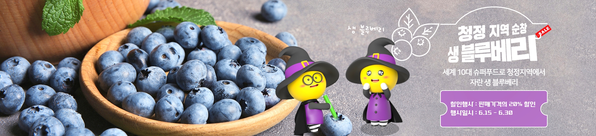 순창군, 제철 블루베리 20% 특별 할인…‘행복순창몰’서 판매 - 문화 | 코리아NEWS