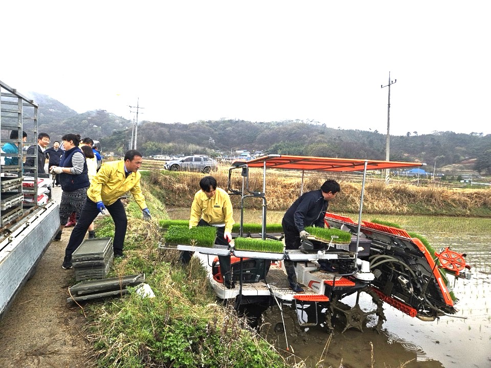 순창군, 2026년 첫 모내기 시작…기후 변화 대응 조기 수확 - 행정 | 코리아NEWS