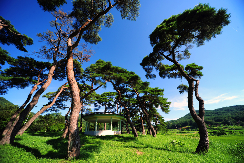 1정문등DSC_7524