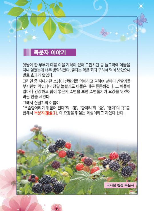 2011국사봉책-4