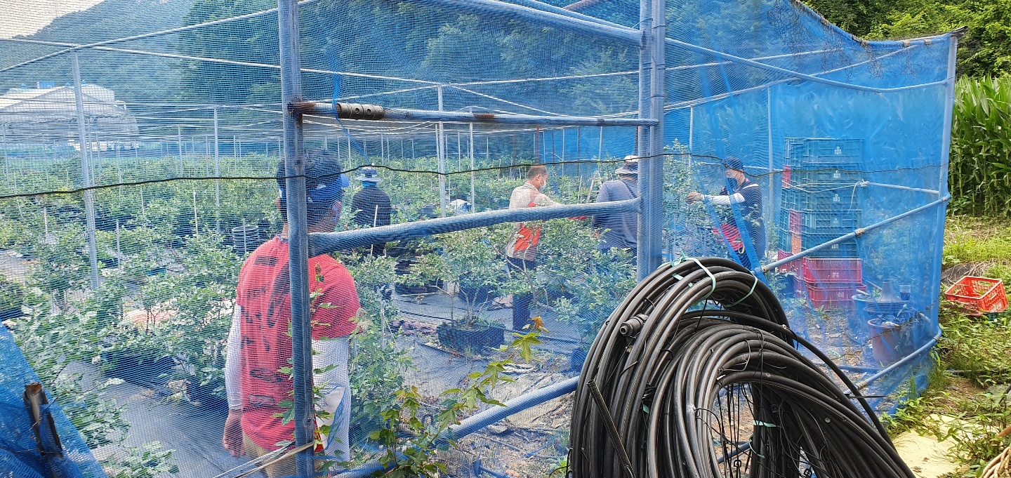 KakaoTalk_20210624_112134948