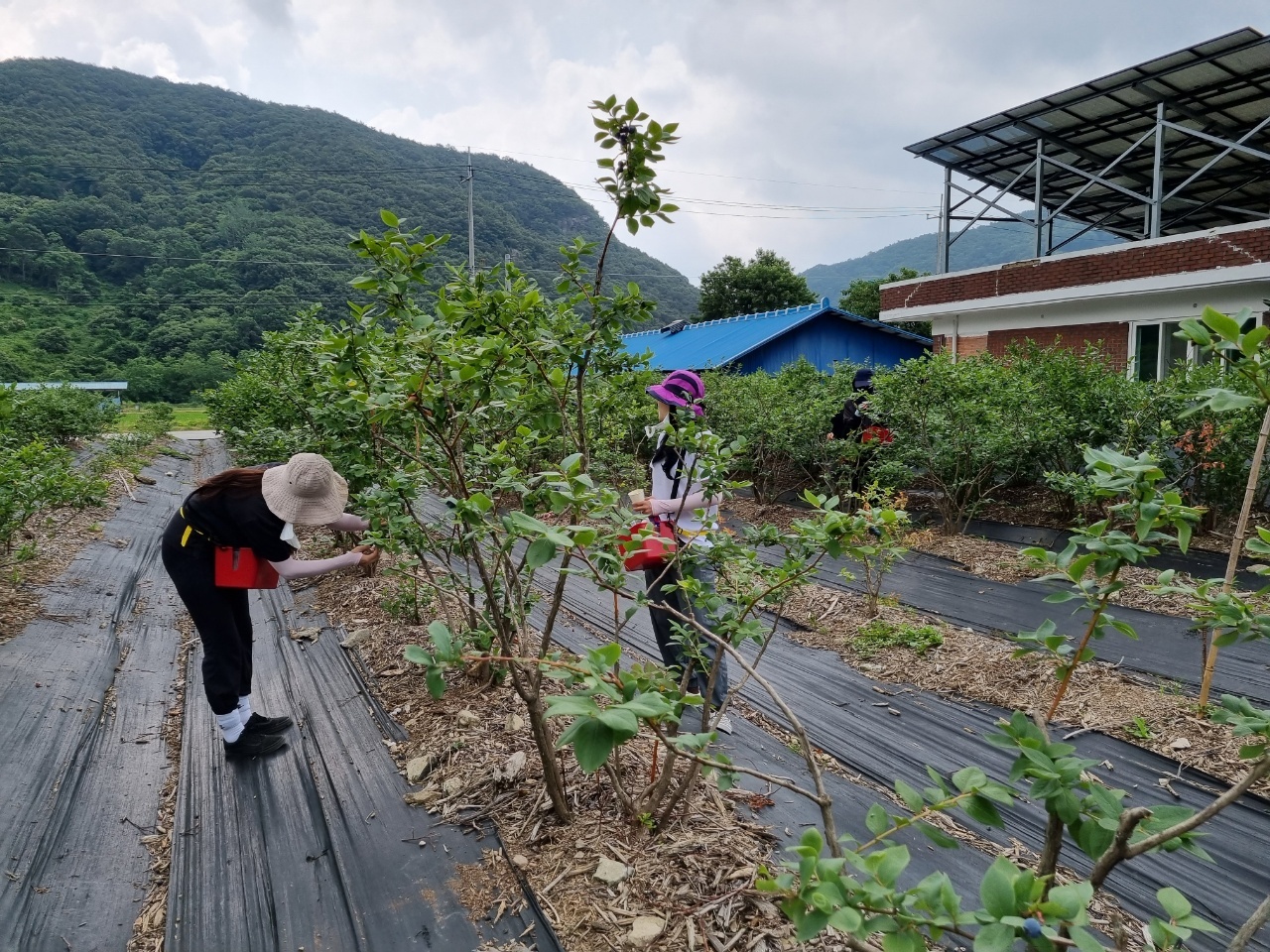 KakaoTalk_20210624_112133434