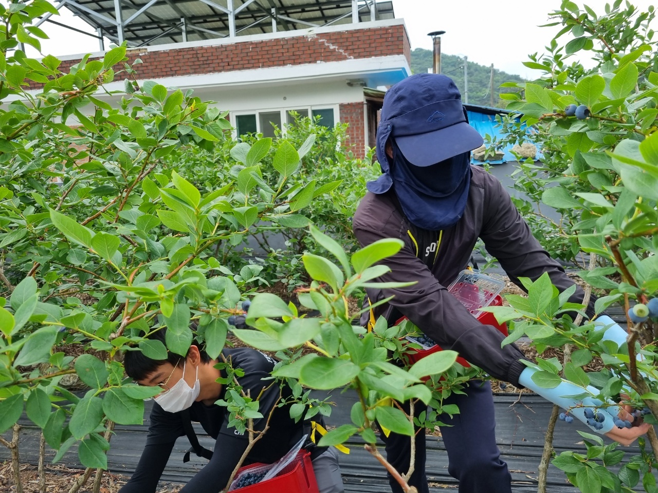 KakaoTalk_20210624_112132611