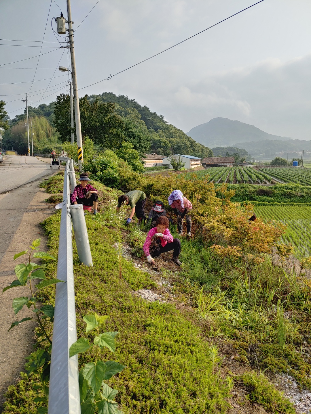 KakaoTalk_20210624_103442396