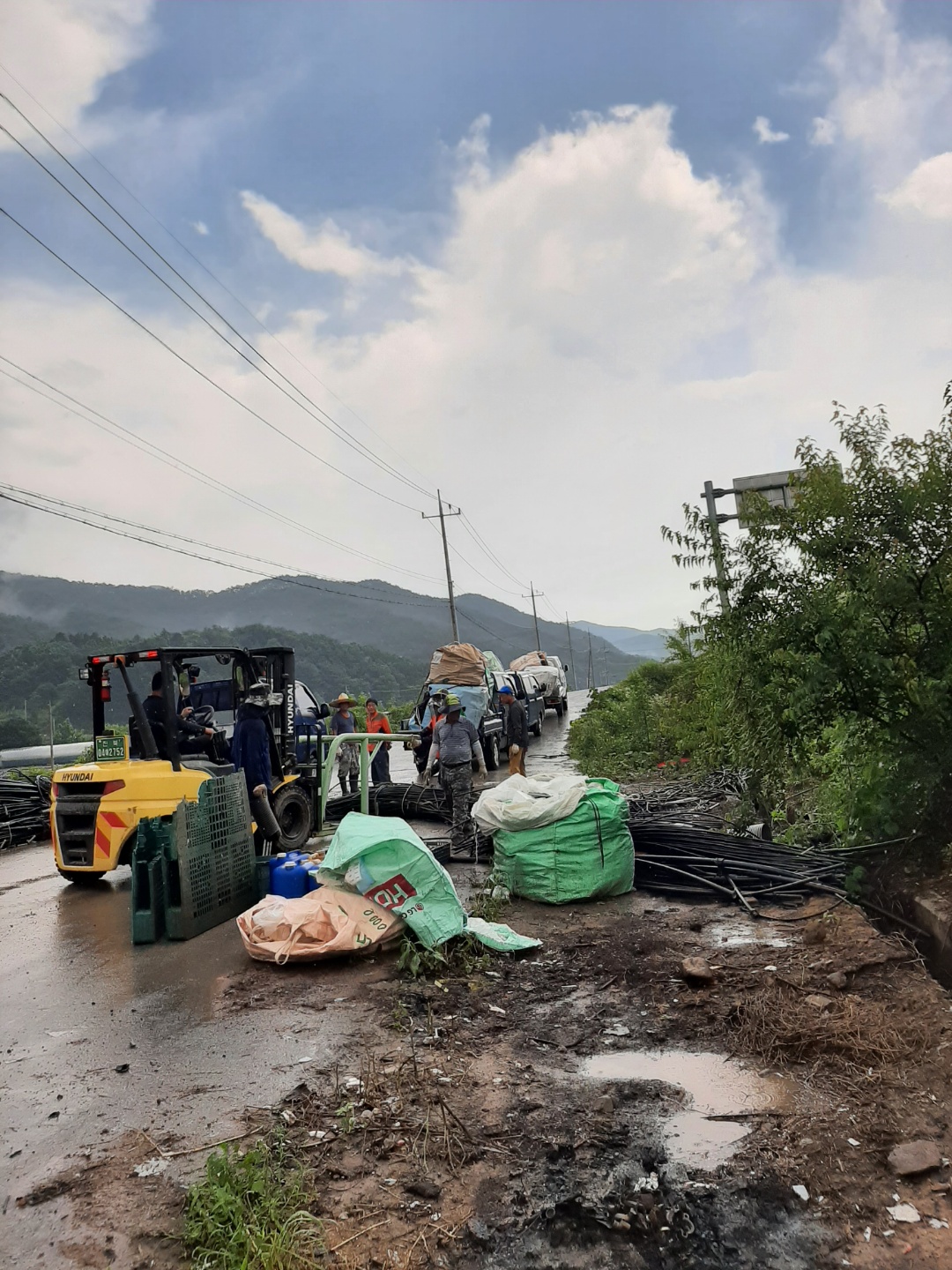 클린순창만들기추진단2