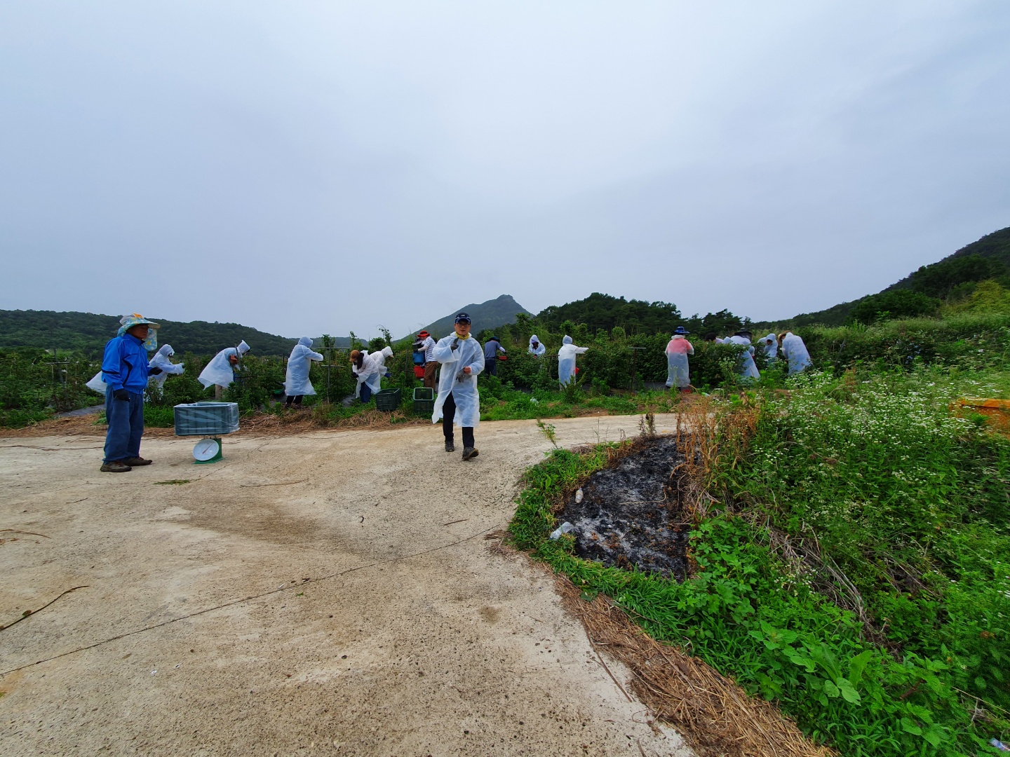 KakaoTalk_20220614_092051215