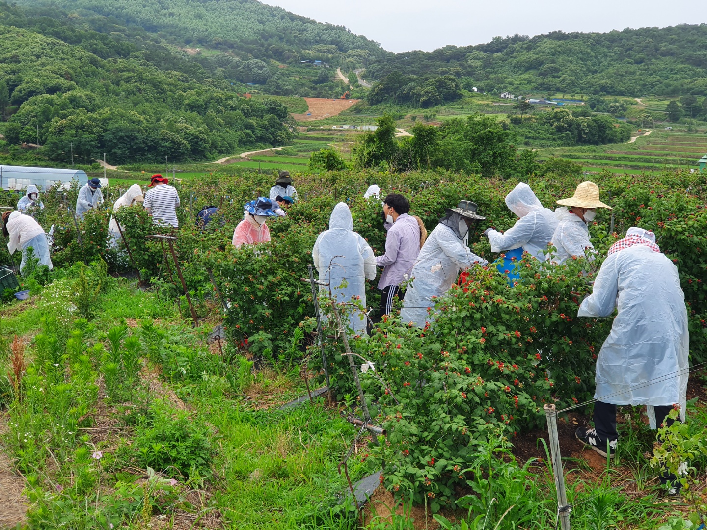 KakaoTalk_20220614_092051215_02