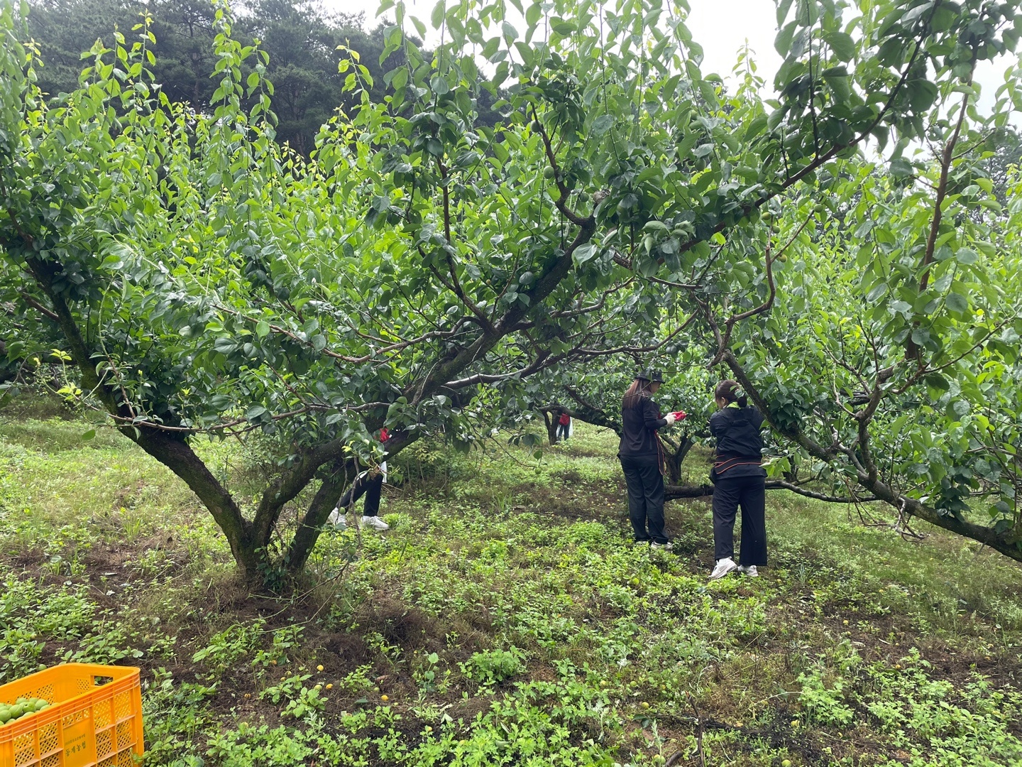 KakaoTalk_20220615_171402777_01