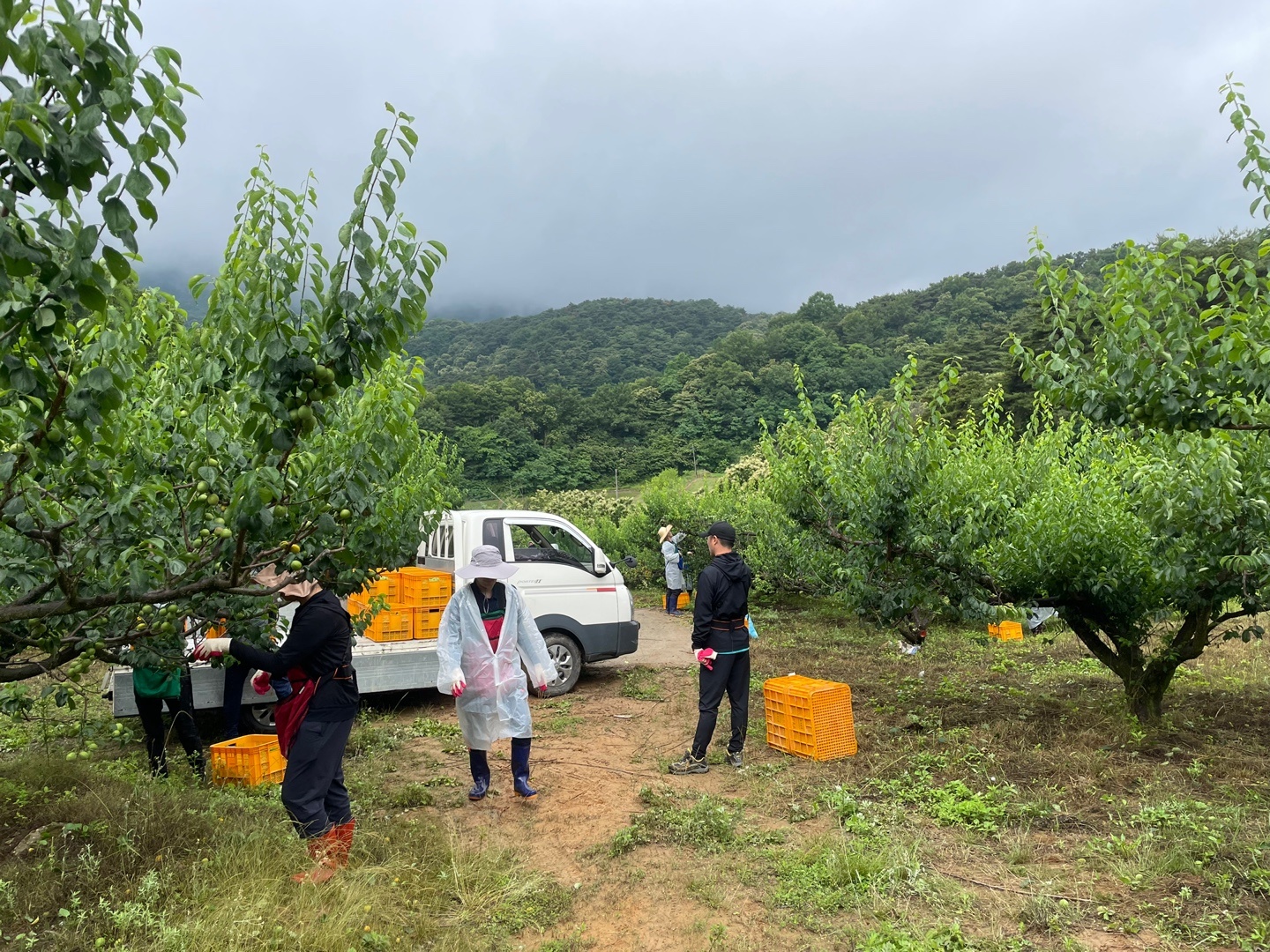 KakaoTalk_20220615_171402777_02