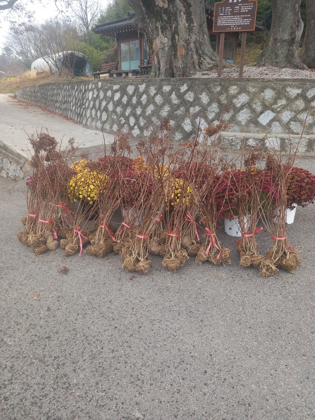 KakaoTalk_20221122_143651477_08