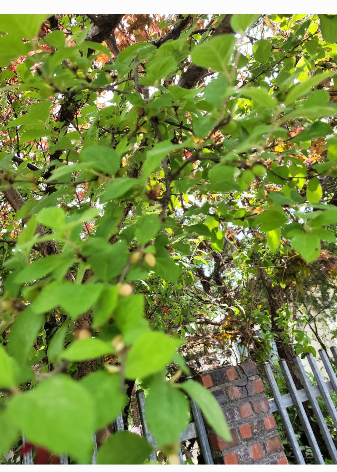 Screenshot_20230522_154418_Gallery