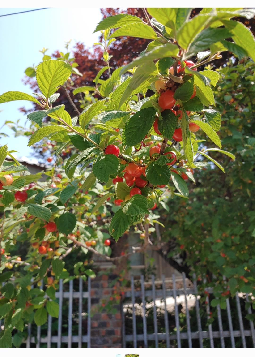 Screenshot_20230522_154501_Gallery