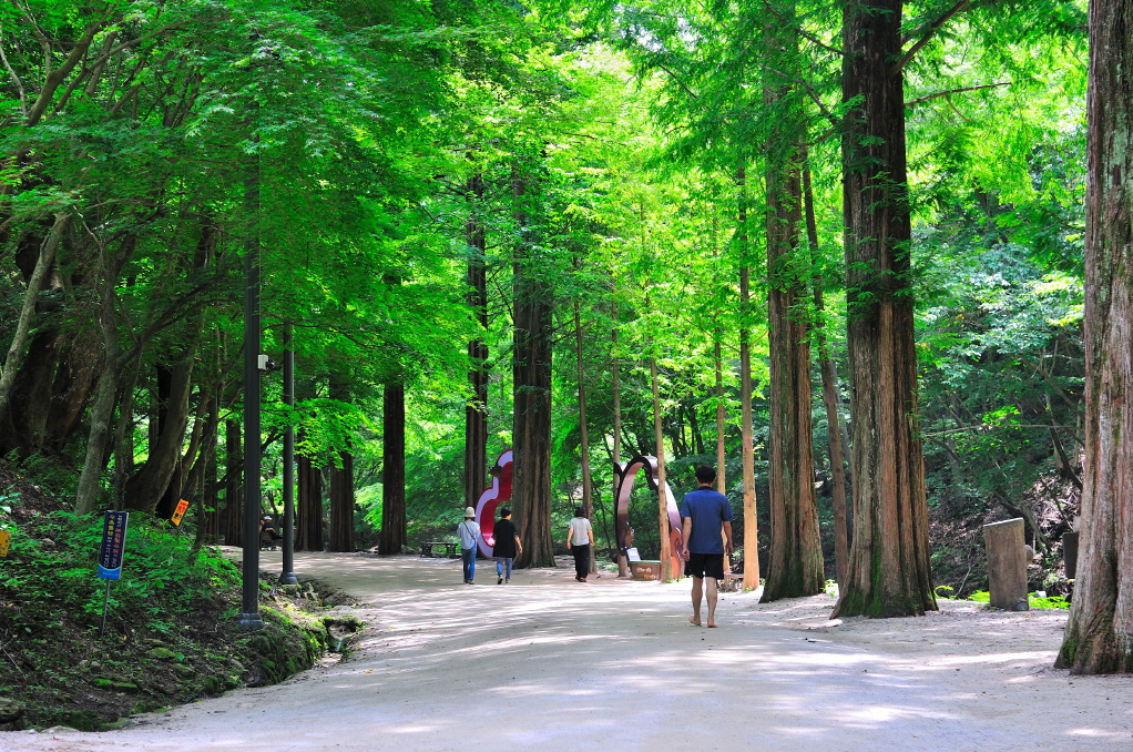 강천산 맨발걷기.jpg