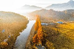 18. 입선 52. (순창군 관광사진 공모전)강천로의 가을 아침.jpg