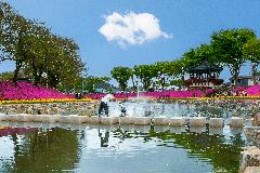 12-43. 양지천의 손길.jpg