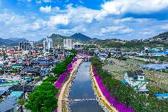 9-11. 양지천 꽃길 파노라마.jpg