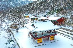 강천사 설경 액자-3.jpg