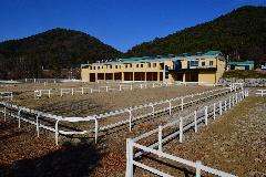 순창군승마장 DSC_7542.jpg