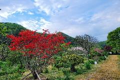 900＿IMG＿20230226＿125754＿047.jpg