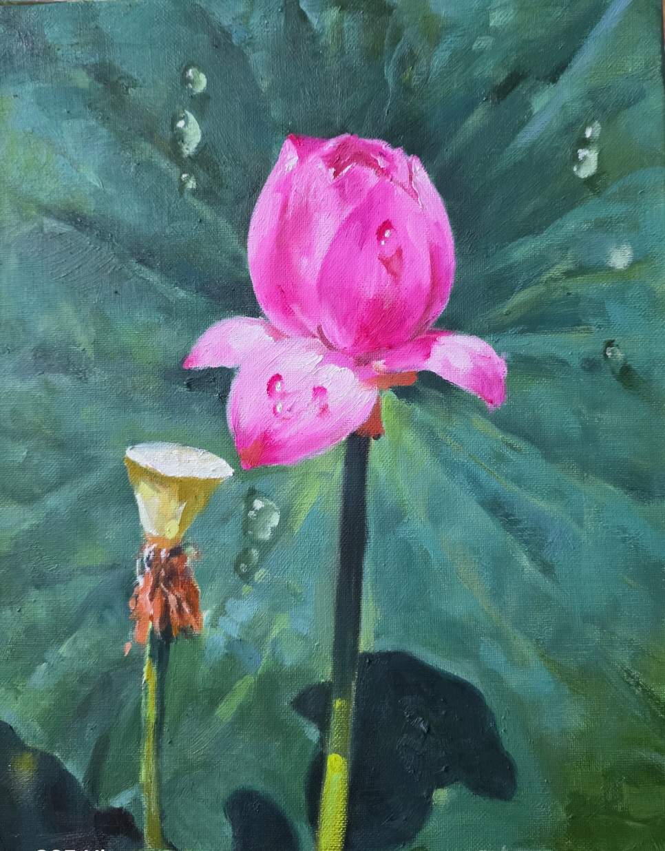 당신은 아름답습니다.jpg