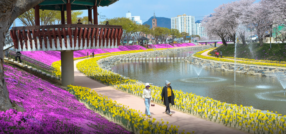 순창 양지천 꽃잔디길