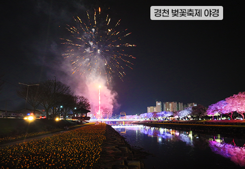 12. 경천 벚꽃축제 야경