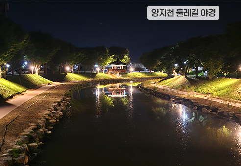 08. 양지천 둘레길 야경