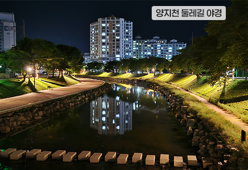 09. 양지천 둘레길 야경
