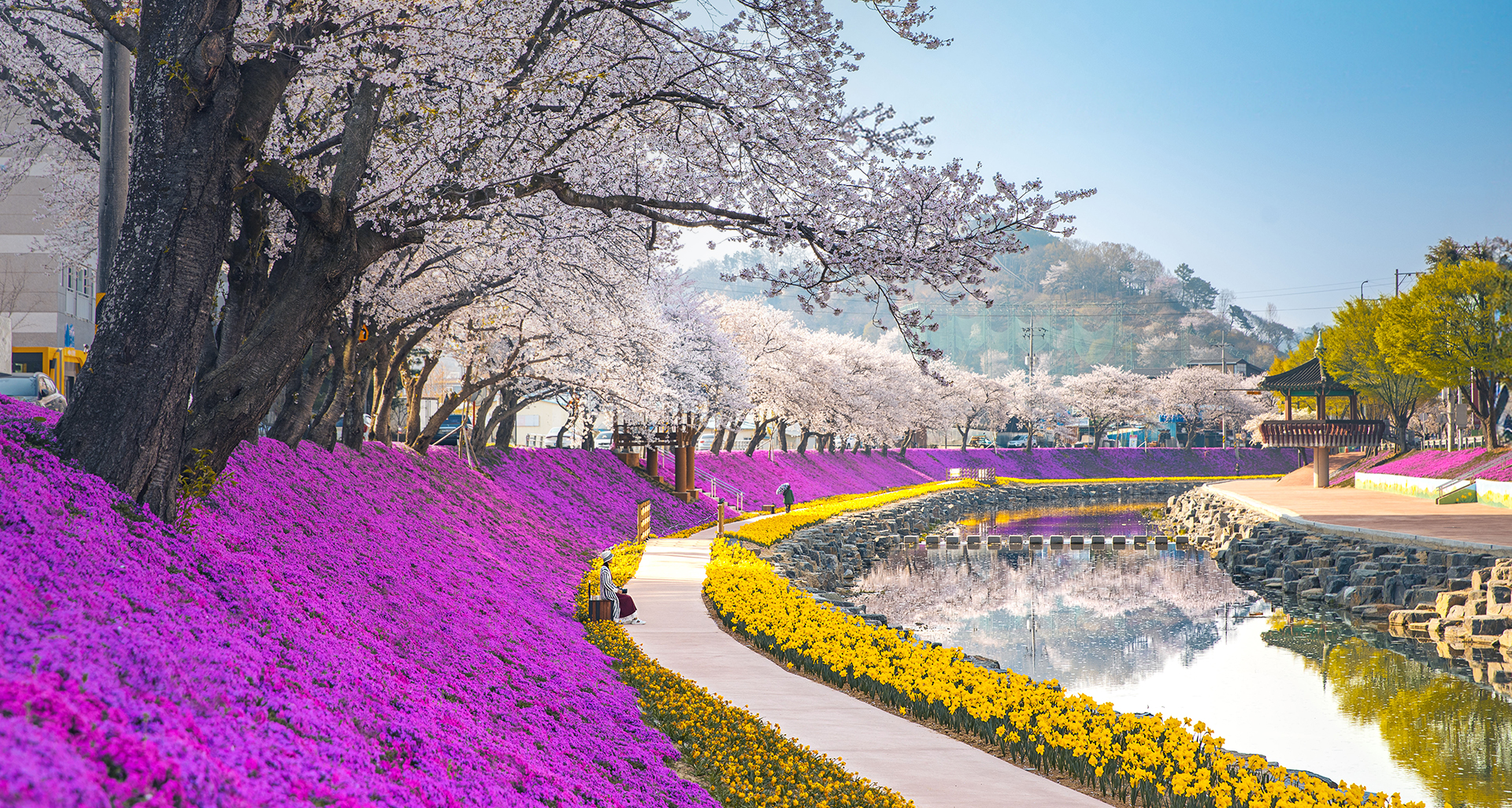 꽃과 바람이 함께한 순창의 봄날