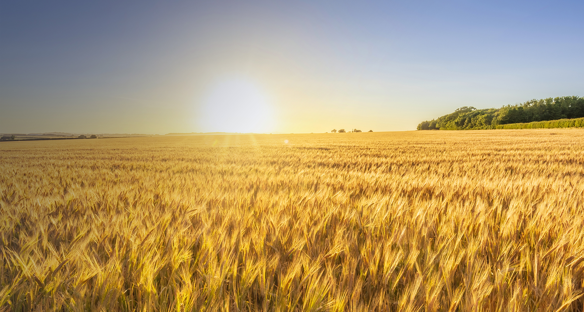 농업기술센터 메인 비주얼 02