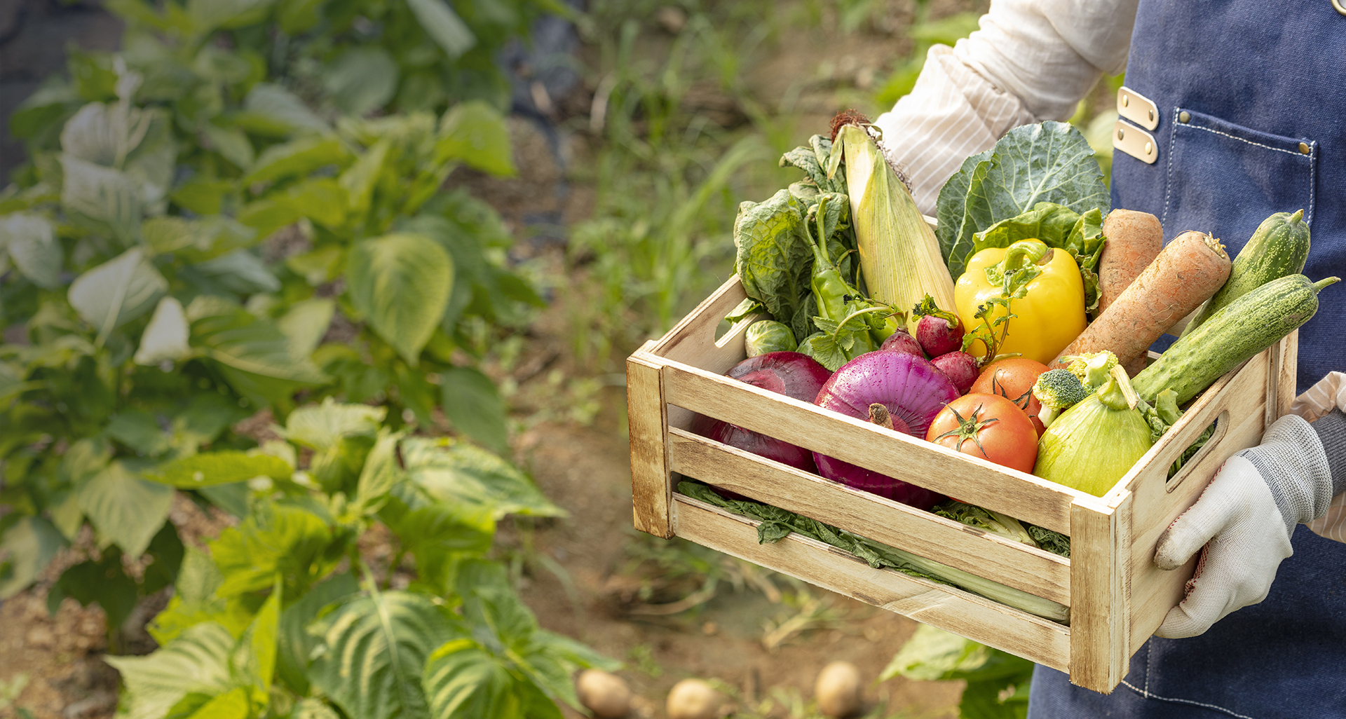 농업기술센터 메인 비주일 01