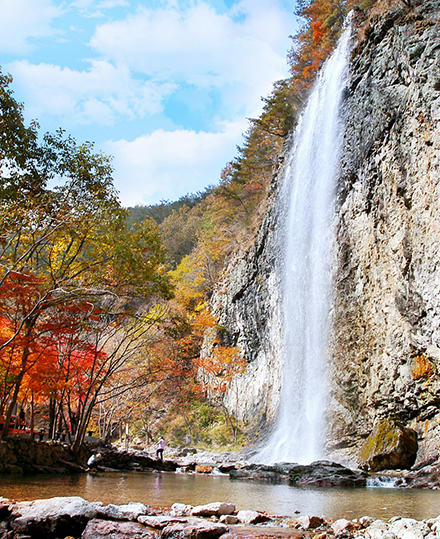 쉴-데이 힐링연수 사진